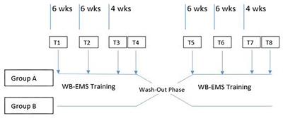 The Influence of WB-EMS-Training on the Performance of Ice Hockey Players of Different Competitive Status